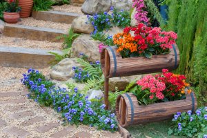 Bright flowers in container garden made with wooden barrels.