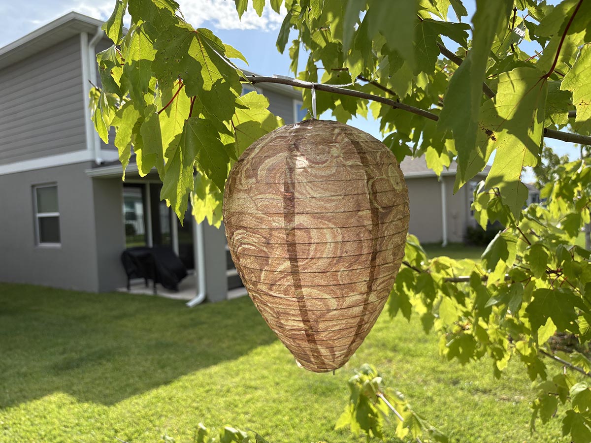 Decyool wasp nest decoy