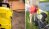 Gas vs Electric Pressure Washer
