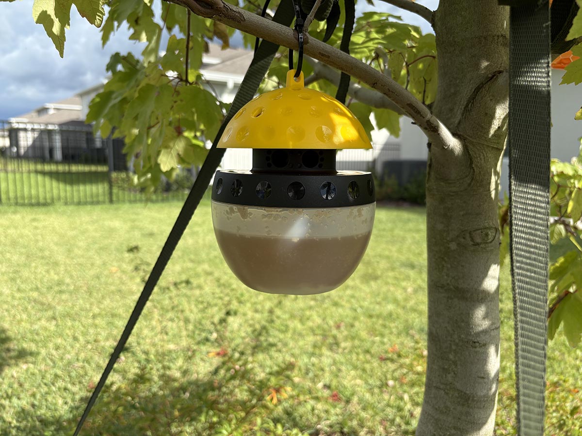 Spectracide wasp trap