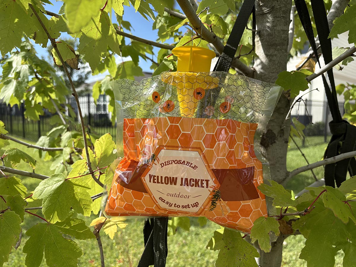 Spectracide wasp trap