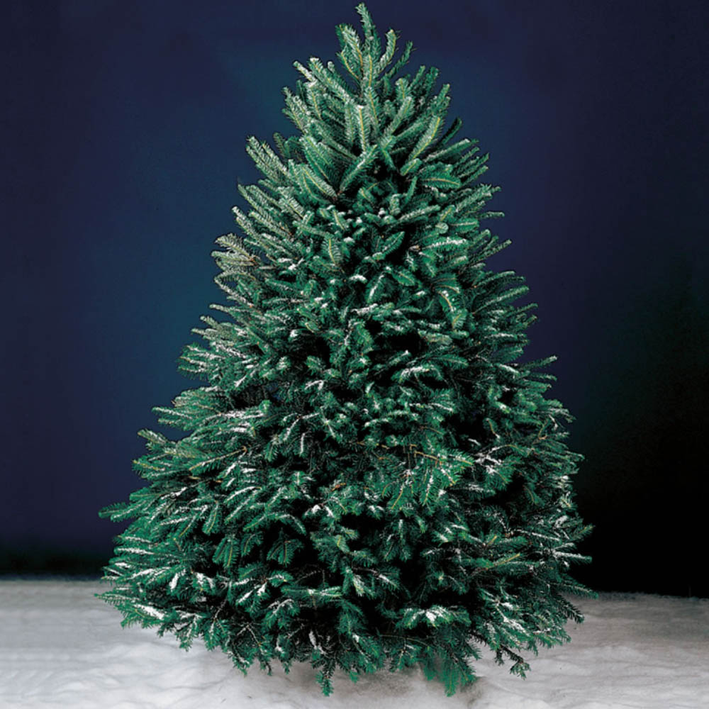 The Best Christmas Tree Delivery Service Option: Hammacher Schlemmer