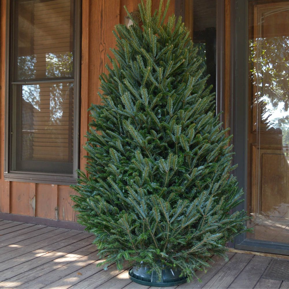 The Best Christmas Tree Delivery Service Option: Walmart