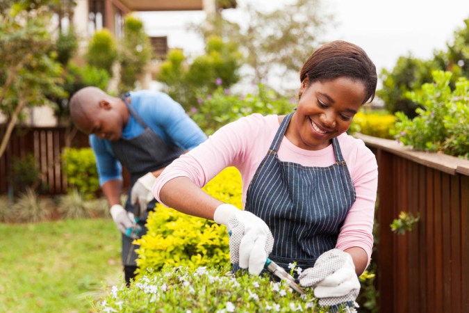How to Hire the Best Garden Soil Delivery Service Near You