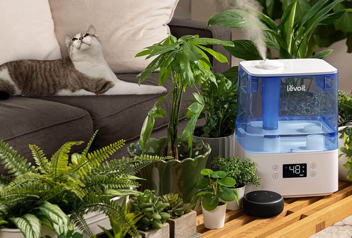 The Best Products for Surviving Winter Option Levoit Classic Ultrasonic Smart Humidifier