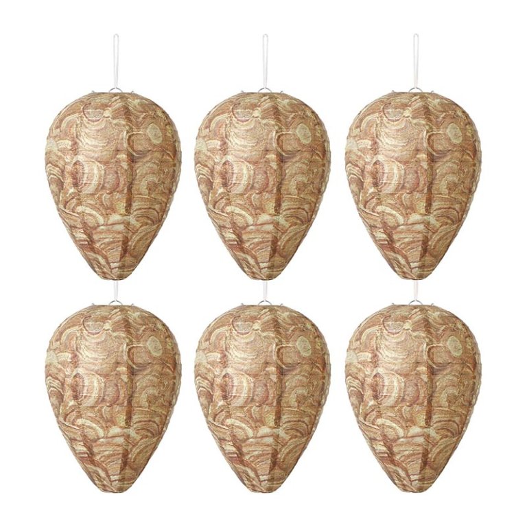 The Best Wasp Trap Option Decyool Paper Wasp Nest Decoys