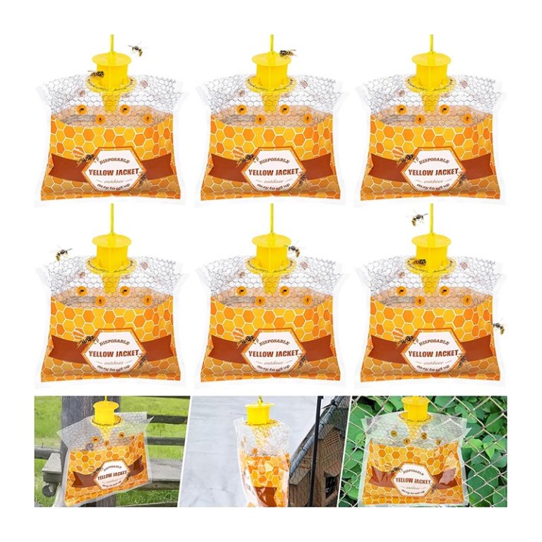 The Best Wasp Trap Option Stingmon Disposable Wasp Traps