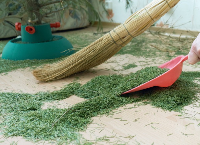 how to clean up pine needles indoors