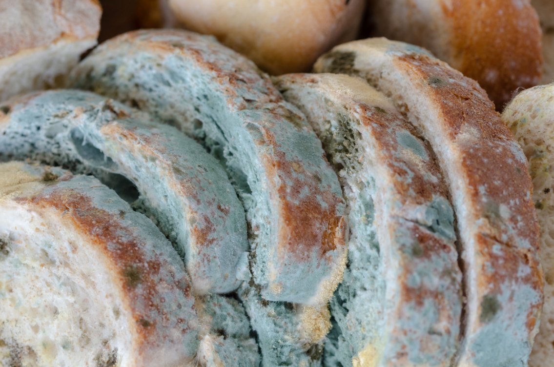 Can You Compost Bread? The Great Debate, Solved! - Bob Vila