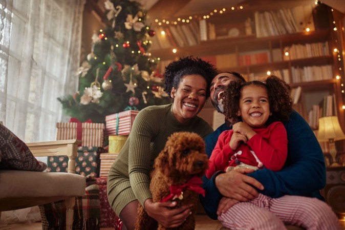 10 Ways to Keep Your Pet Safe During the Holidays