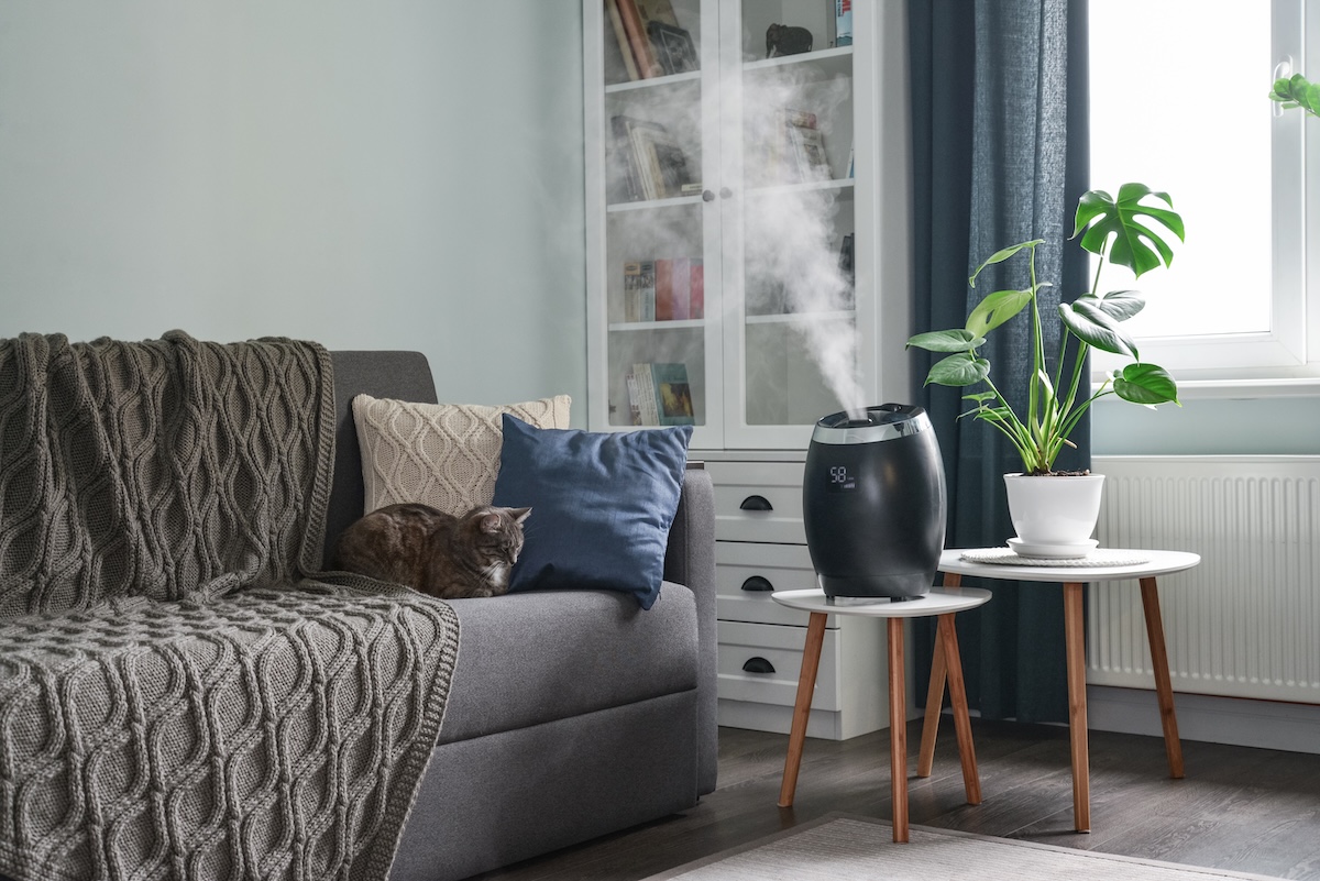 Ultrasonic cool mist humidifier on a small table in a modern living room, with a grey couch and grey knit blanket.