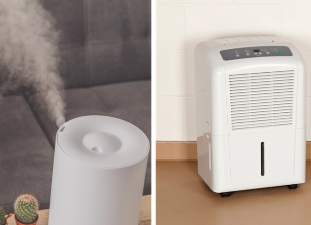 Ultrasonic vs. Evaporative Humidifier: Which is Best for Your Home?