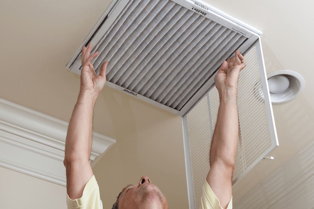 Best Air Filter Subscription Options