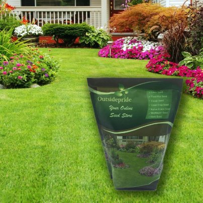 Bag of Outsidepride Full House Bermuda Grass Seed Blend