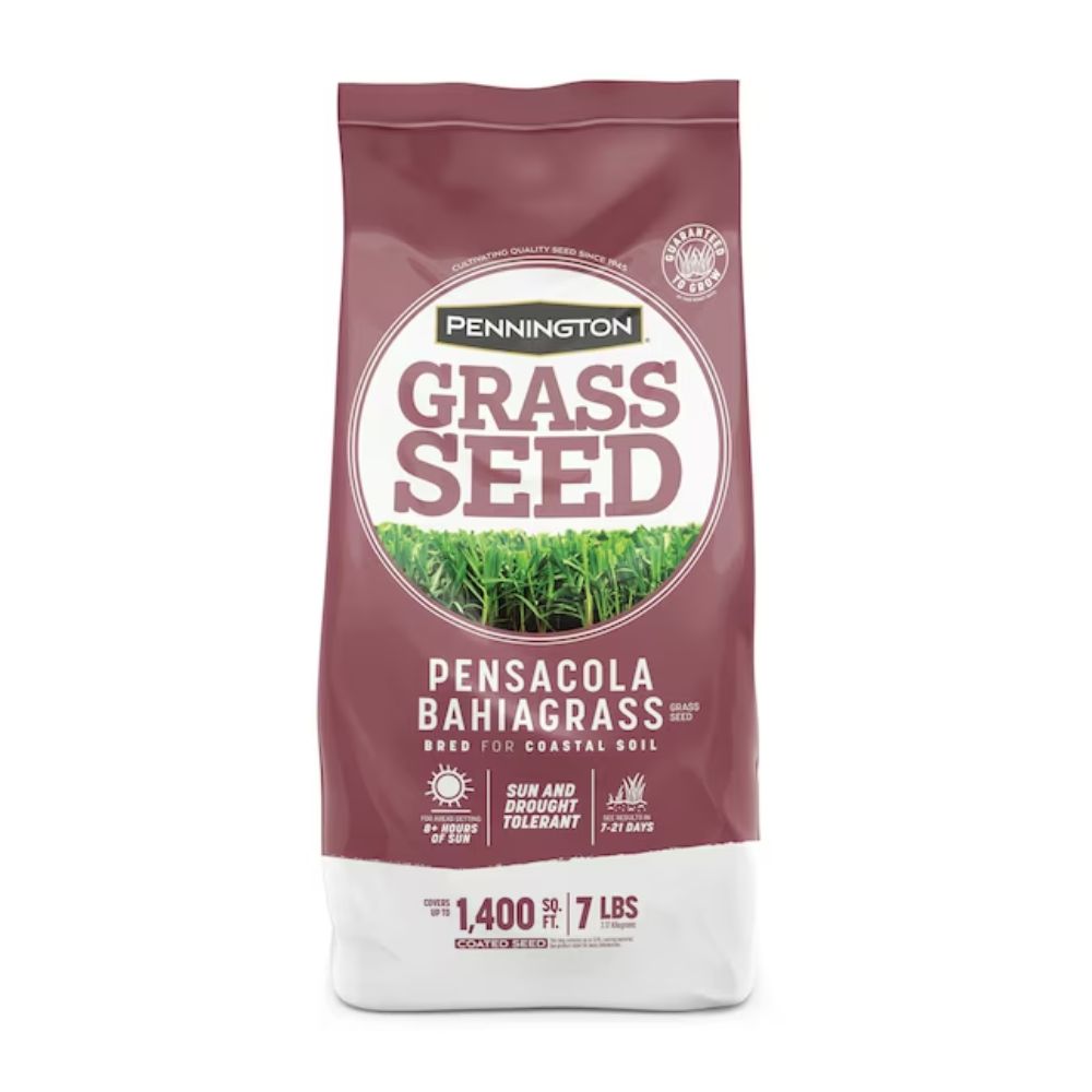 Best Grass Seed to Plant in Southern Florida: Top Picks for Lush Lawns 4 Best Grass Seed to Plant in Southern Florida: Top Picks for Lush Lawns