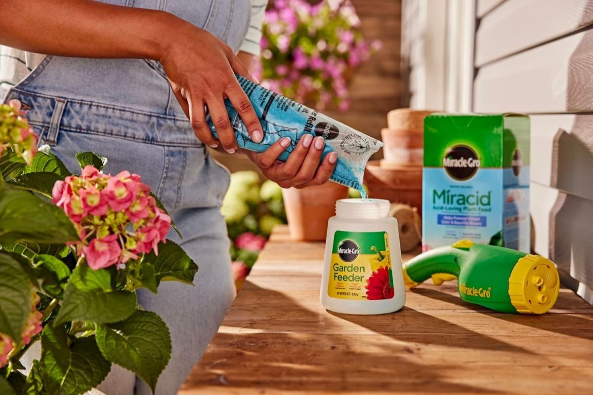 The best fertilizer for blueberries recommended by bob vila
