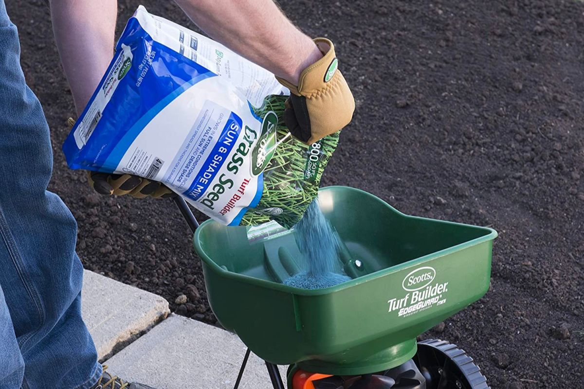 The Best Grass Seed for Northeast Options