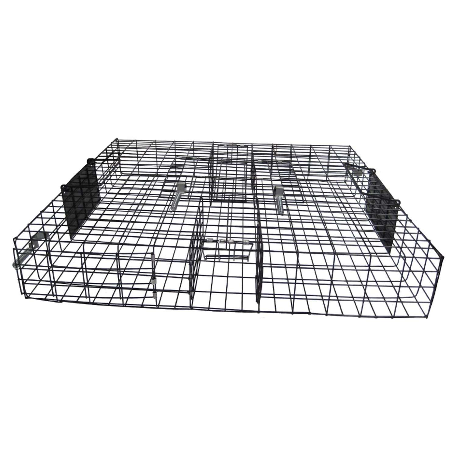 The Best Squirrel Traps Picks from Bob Vila