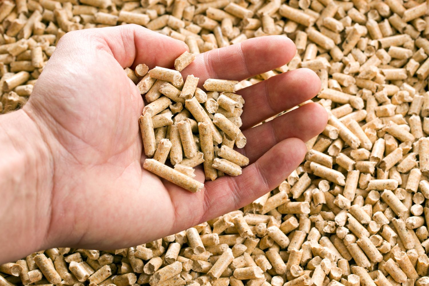 The Best Wood Pellet Delivery Services Option: Woodpellets.com