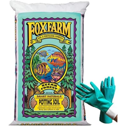 Best soil for avocado trees FoxFarm Ocean Forest Plant Garden Potting Soil Mix
