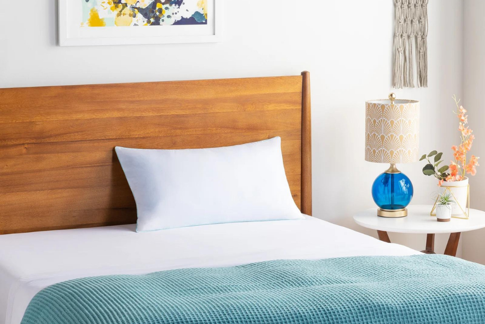 Deals Roundup 12:22 Option: Wayfair Sleep Encased Cooling Shredded Memory Foam Medium Support Pillow