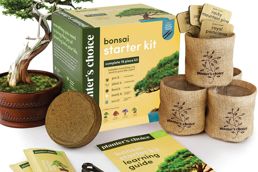 Deals Roundup 12:6 Option: Planters’ Choice Bonsai Starter Kit