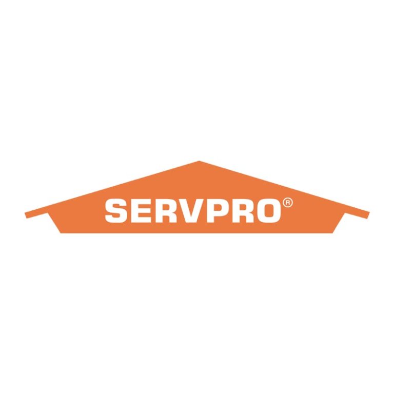  The Best Carpet Cleaning Companies Option: SERVPRO