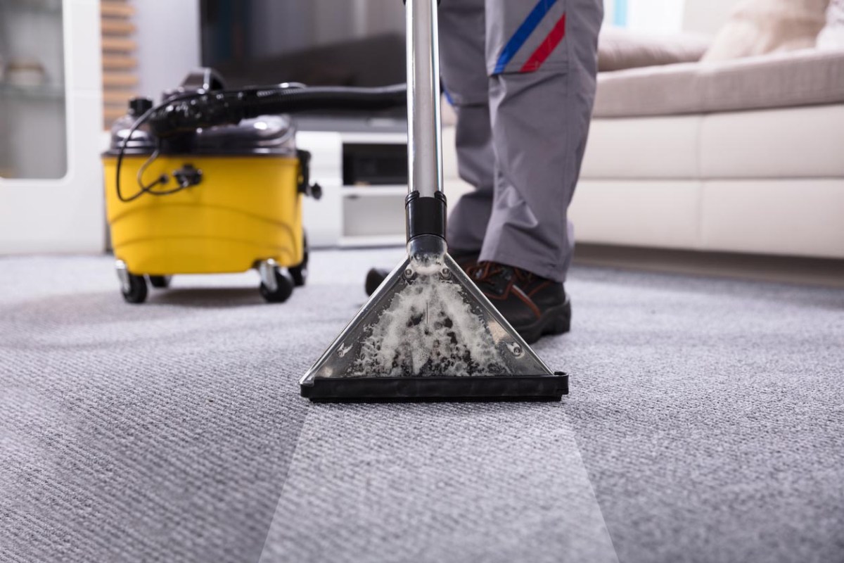 The Best Carpet Cleaning Companies Options