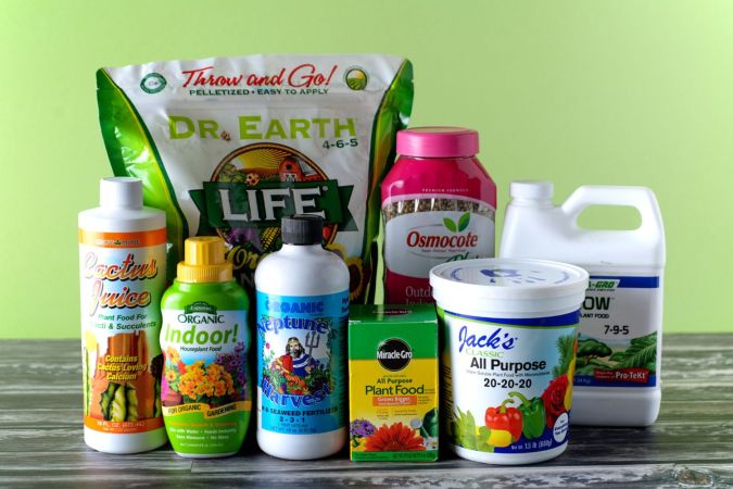 The Best Fertilizers for Indoor Plants Tested in 2023