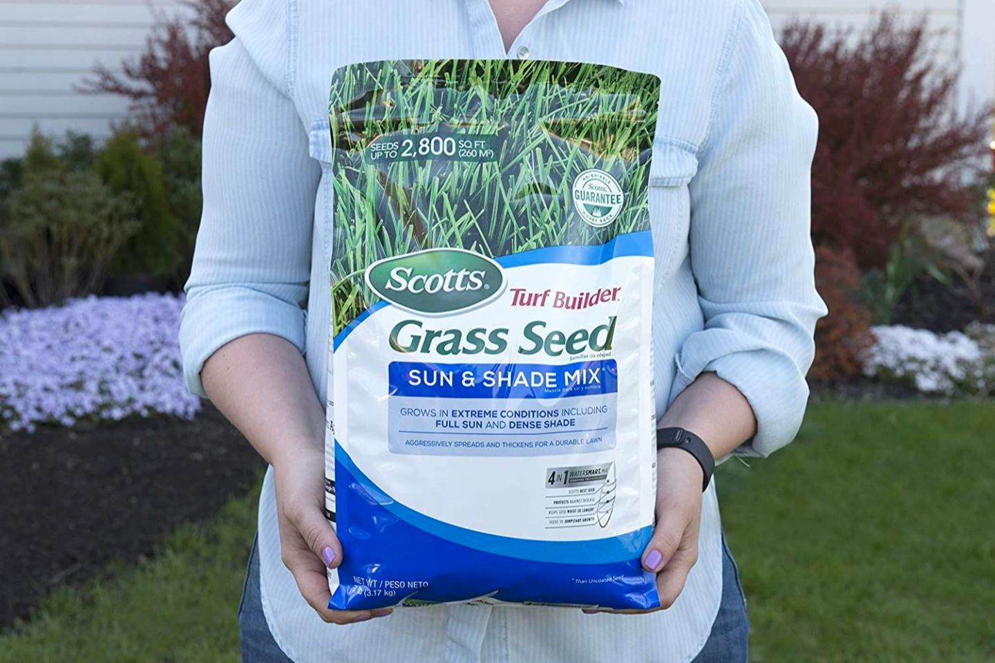 The 6 Best Grass Seed Options for the Northeast (2024 Guide)