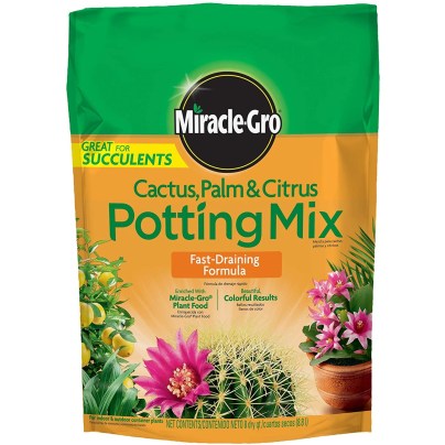 Best Soil for Money Tree Option: Miracle-Gro Cactus, Palm & Citrus Potting Mix
