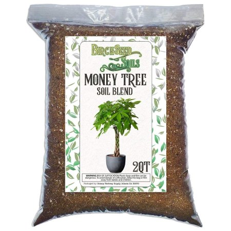 Money Tree Soil Blend All Natural Soil Mixture