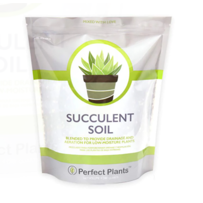 Best Soil For Aloe Vera Options: Perfect Plants Succulent Soil