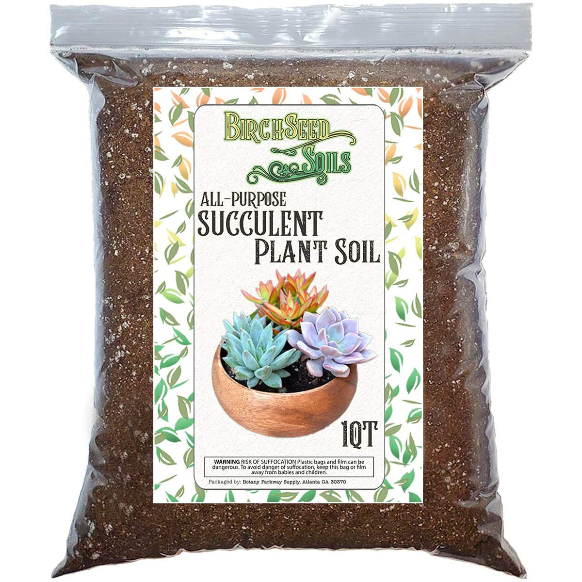 Generic Succulent Plant Soil