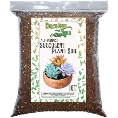 Best Soil For Aloe Vera Options: Succulent Plant Soil