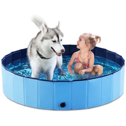 The Best Dog Pools Option: Jasonwell Foldable Dog Pet Bath Pool