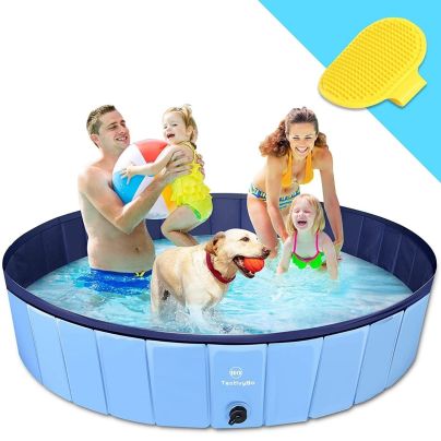 The Best Dog Pools Option: TantivyBo Plastic Foldable Dog Pool