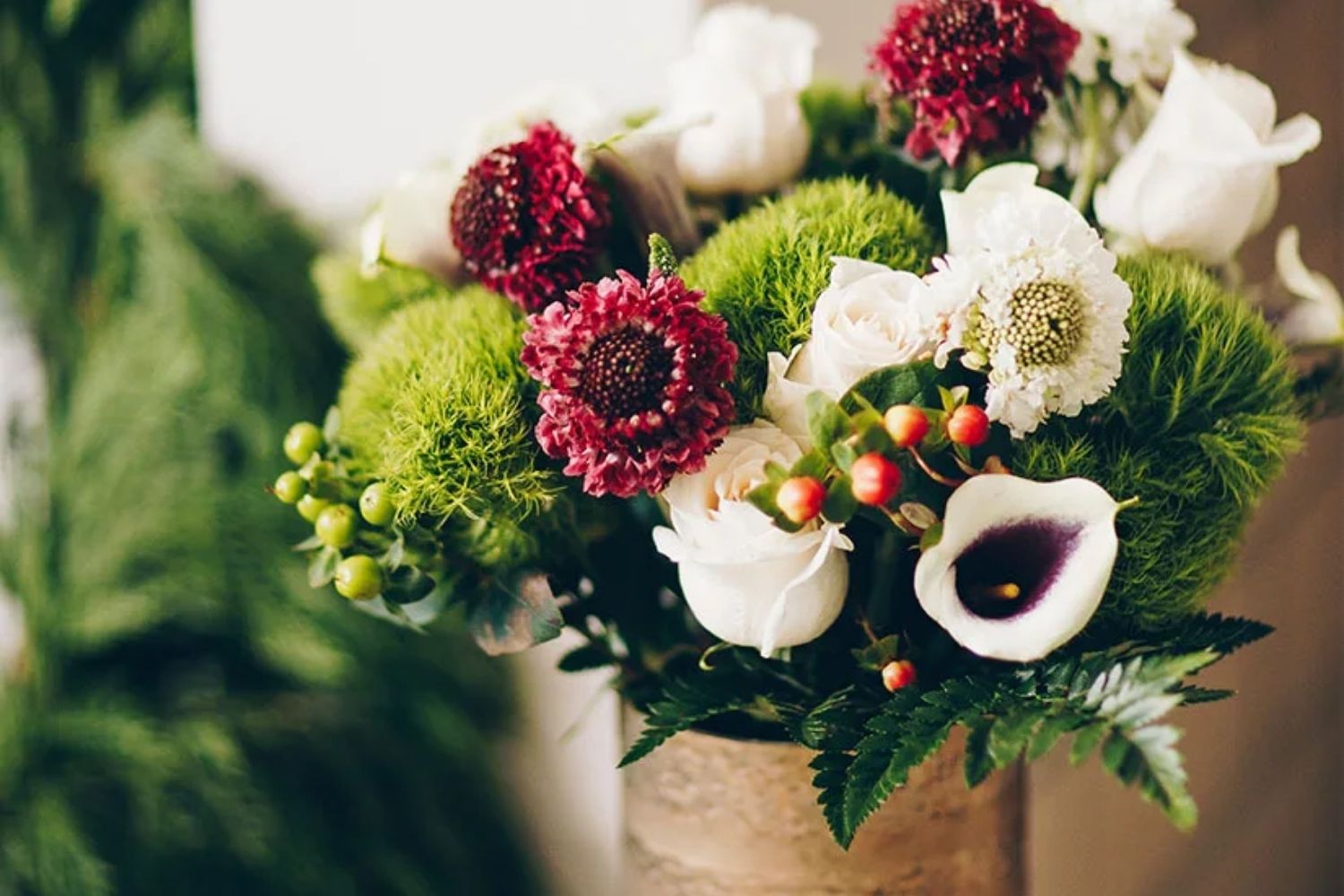 The Best Plant Delivery Service Option: UrbanStems
