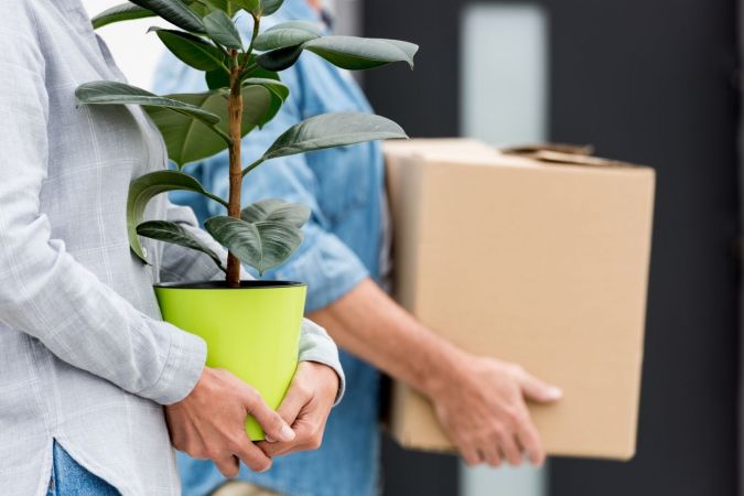 The Best Plant Delivery Services of 2023