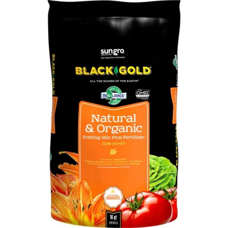  The Best Soil For Avocado Trees Option: Black Gold All Purpose Soil, 16 qt.
