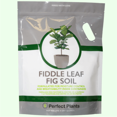 Best Soil For Fiddle Leaf Figs Option: Perfect Plants Fiddle Leaf Fig Soil