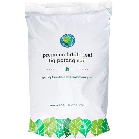  Best Soil For Fiddle Leaf Figs Option: Premium Fiddle Leaf Fig Tree Potting Soil