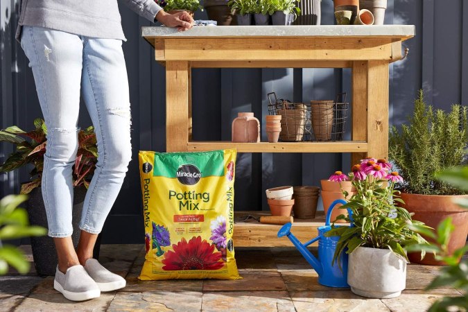 The Best Soil for Roses - Top Picks from Bob Vila