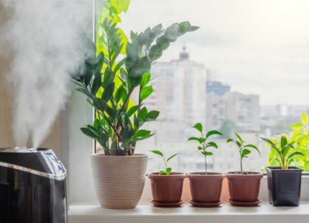 15 Essentials for Beginner Plant Parents: What Every New Plant Owner Needs