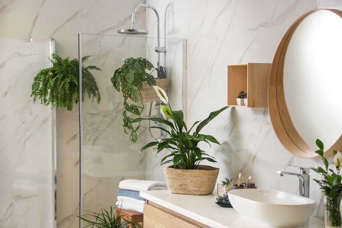 Green plants inside shower and atop vanity in an elegant modern bathroom.