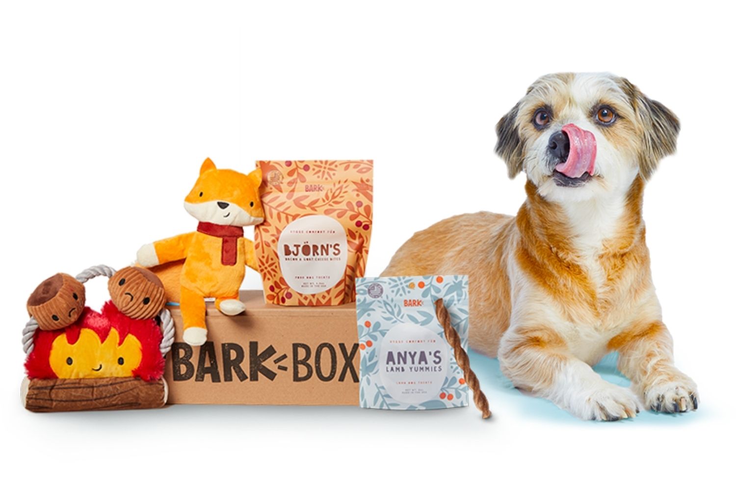 The Best Subscription Gifts Options: BarkBox Subscription