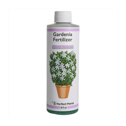 Best Fertilizer For Gardenias Option: Perfect Plants Gardenia Liquid Fertilizer 8oz.