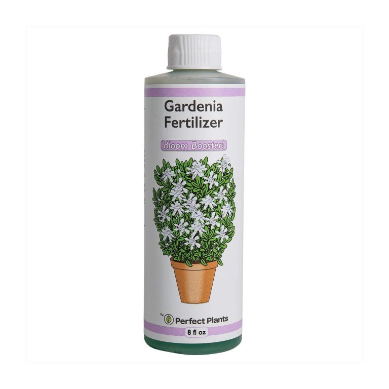  Best Fertilizer For Gardenias Option: Perfect Plants Gardenia Liquid Fertilizer 8oz.