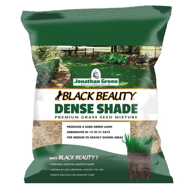  The Best Grass Seed For Shade Option: Jonathan Green Black Beauty Dense Shade Grass Seed