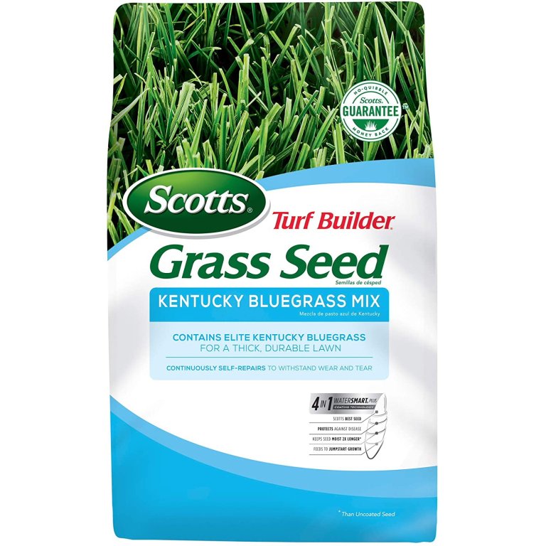  The Best Grass Seed For Shade Option: Scotts Turf Builder Grass Kentucky Bluegrass Mix